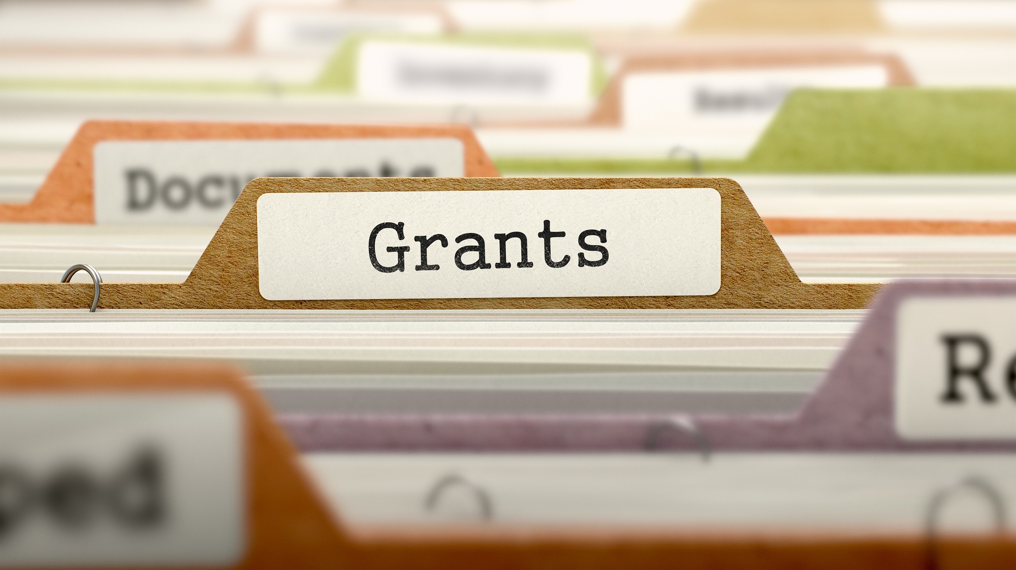government-grant-application