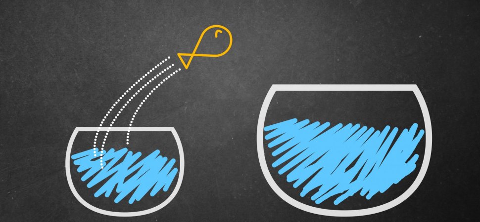 startups-and-scaleups-rnd-application